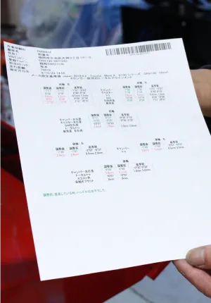 HUNTER 診断レポート